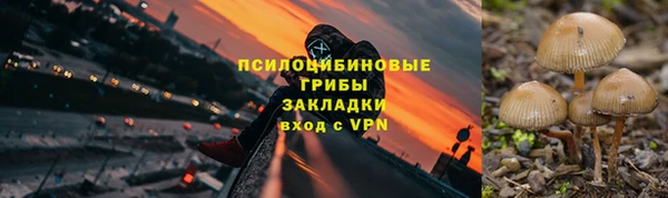 СК Алексин