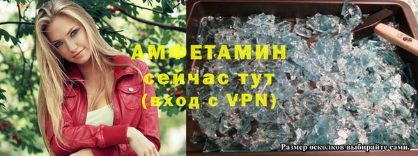 СК Алексин