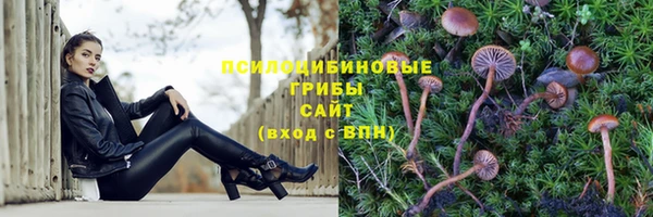 СК Алексин